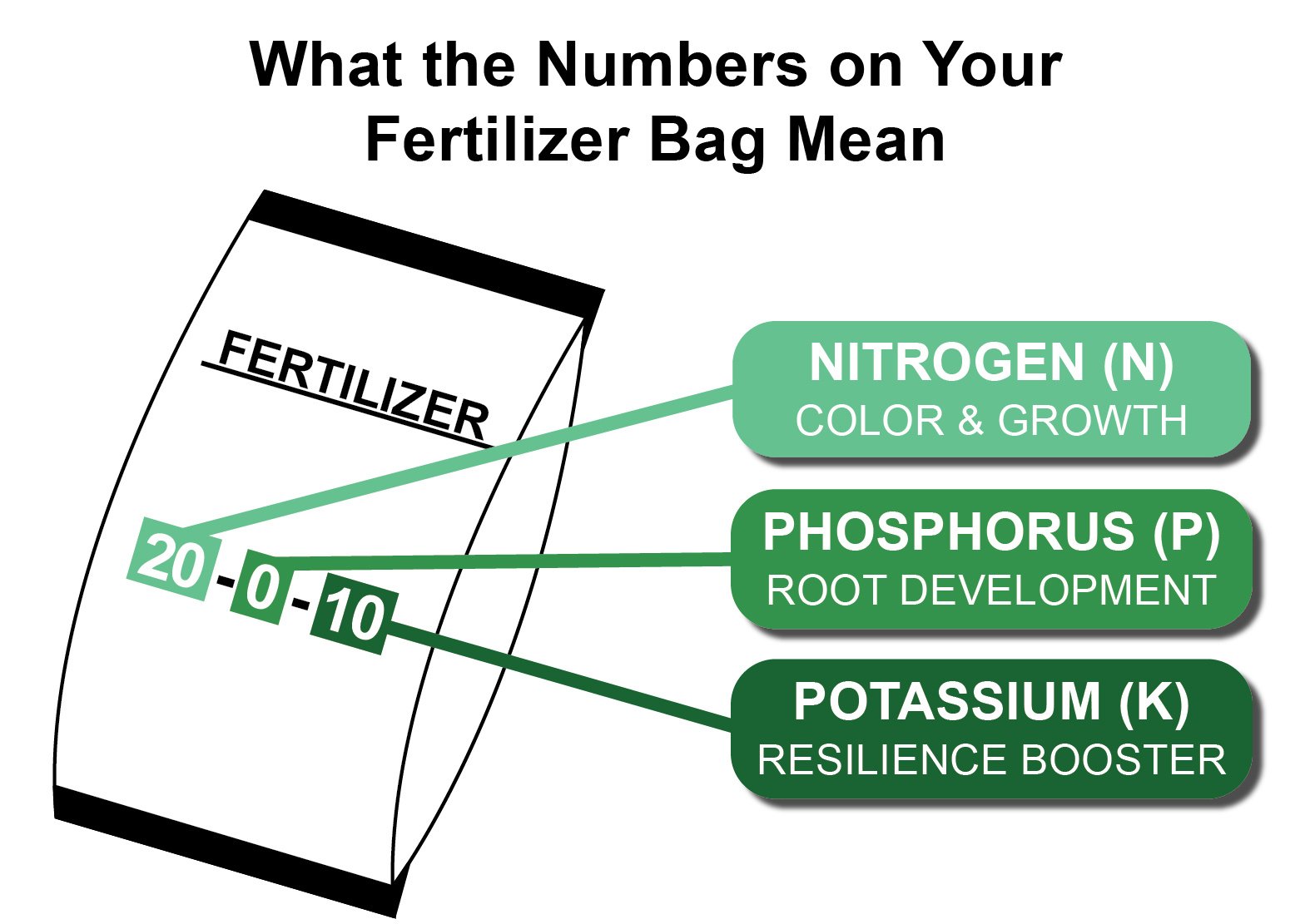 Lawn Fertilizer Numbers: Understanding N-P-K Ratios & What Your Grass Needs